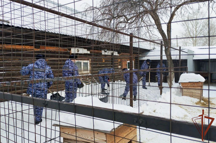 В Кемеровской области росгвардейцы помогли ликвидировать последствия снегопада