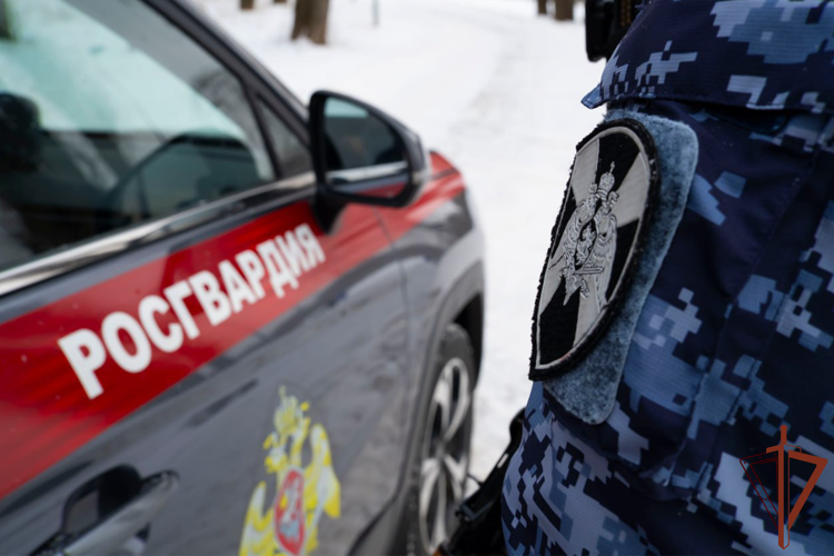В Москве росгвардейцы задержали мужчину, устроившего погром в музейном комплексе (видео)