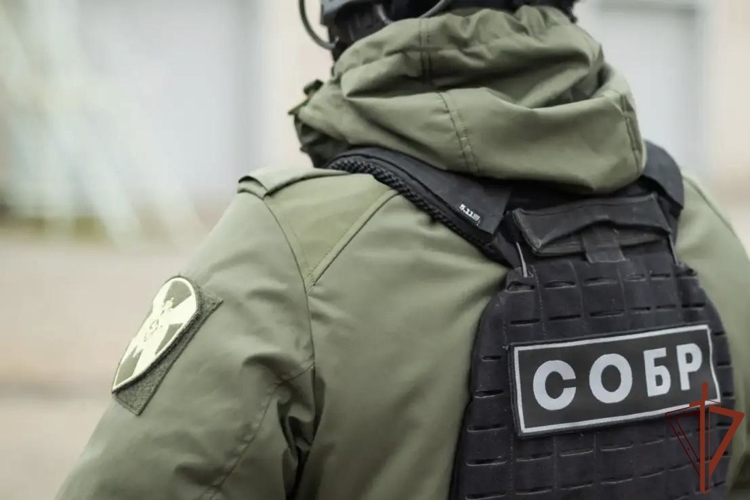 В Хабаровске офицеры СОБР Росгвардии оказали помощь женщине, пострадавшей в ДТП