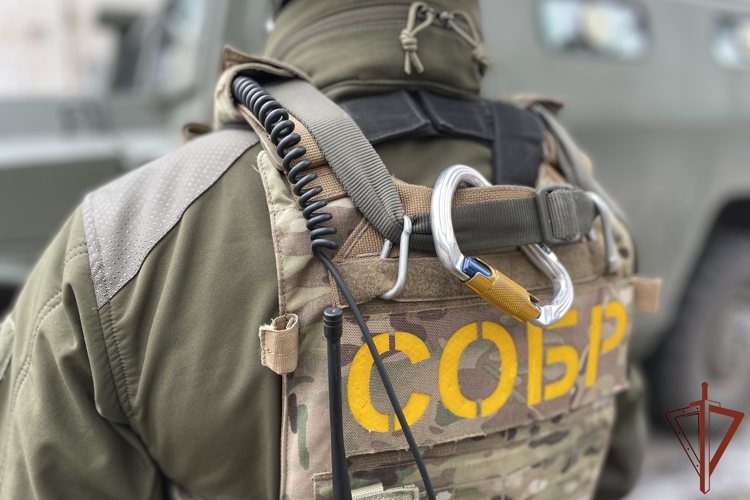 В Белгородской области при содействии  спецназа Росгвардии ликвидирована сеть нелегальных узлов связи