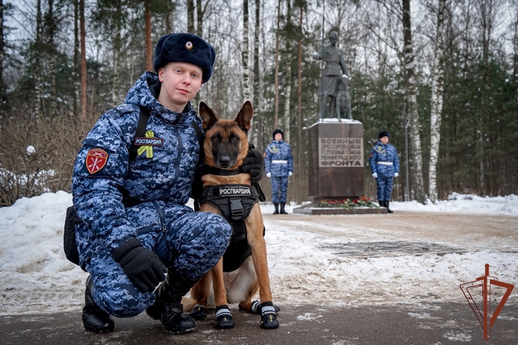 Кинологи Северо-Западного округа Росгвардии возложили цветы к памятнику «Военным дрессировщикам и служебным собакам Ленинградского фронта»