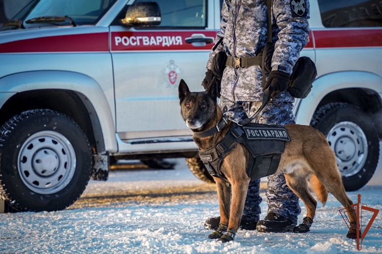 Петербургские росгвардейцы обеспечили безопасность матча КХЛ 