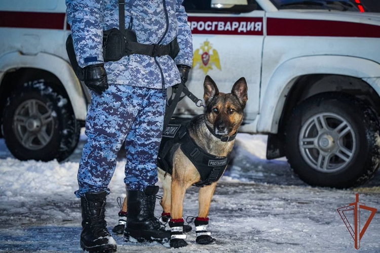 Росгвардейцы обеспечили безопасность матча КХЛ в Санкт-Петербурге