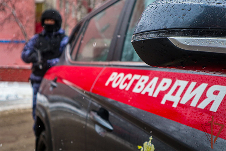 В Подмосковье росгвардейцы пресекли распространение крупной партии наркотиков (видео)