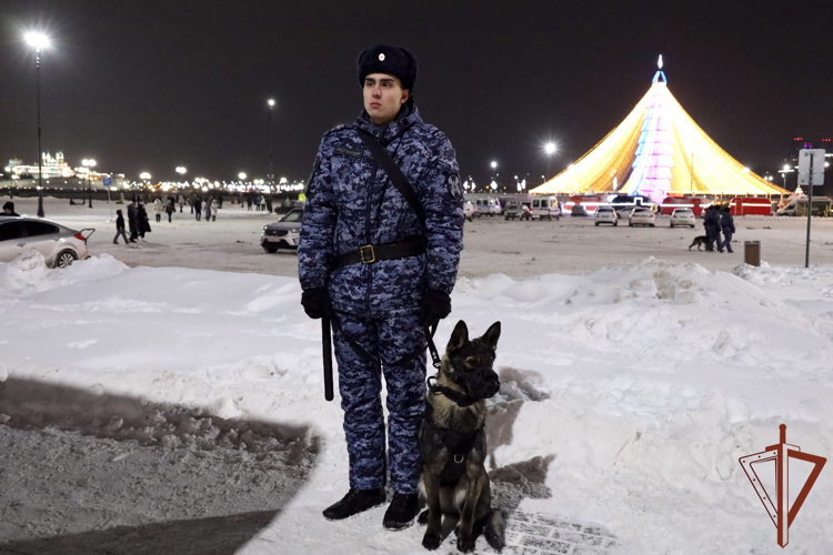 Росгвардейцы обеспечили правопорядок во время празднования Нового года в регионах Приволжья