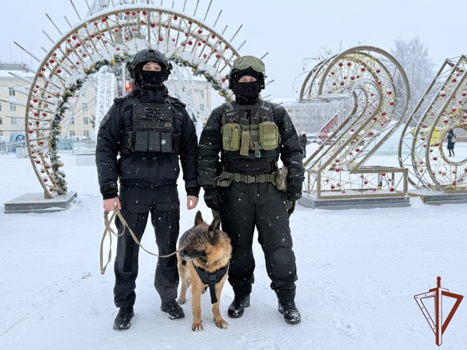 Росгвардия подвела итоги охраны общественного порядка новогодних праздников (видео)