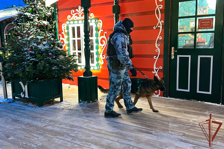 Росгвардия обеспечила правопорядок и общественную безопасность  в новогоднюю ночь