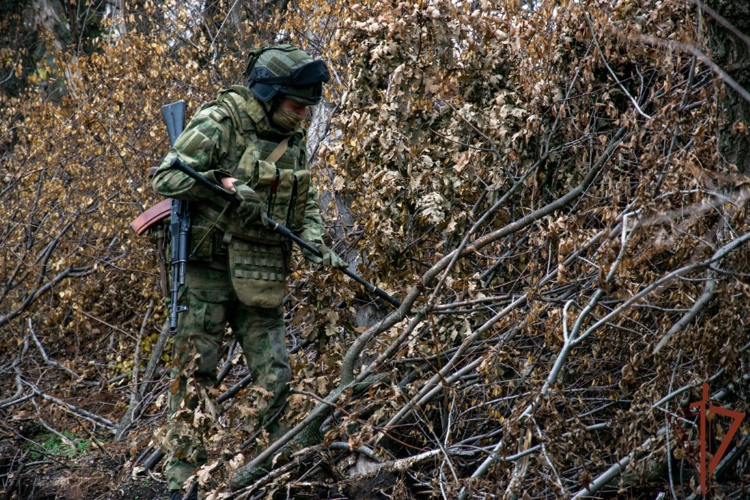 Инженеры Росгвардии за год выполнили более 50 тысяч служебно-боевых задач в районах проведения СВО и КТО (видео)