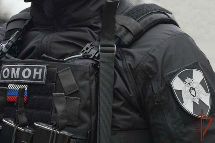 В Санкт-Петербурге и Свердловской области при содействии спецназа Росгвардии задержаны подозреваемые в масштабных хищениях со счетов граждан (видео)