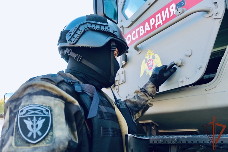 При силовой поддержке СОБР Росгвардии в Калининграде задержаны подозреваемые в серии краж (видео)