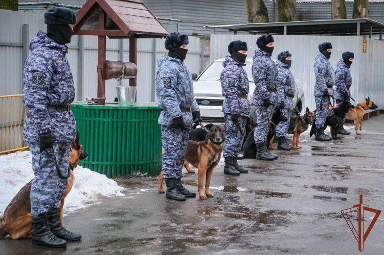 В Северо-Западном округе Росгвардии начался зимний период подготовки