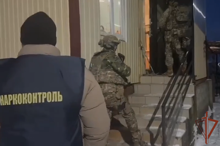 Крупная партия веществ растительного происхождения изъята на Кубани при силовой поддержке СОБР Росгвардии (видео)