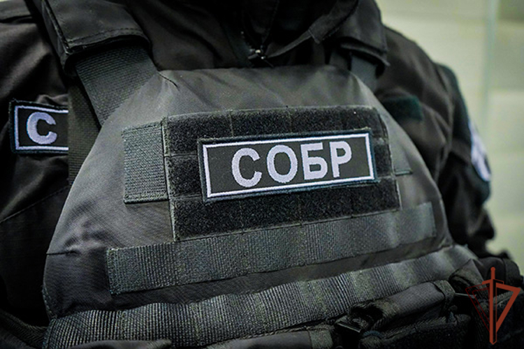 В Подмосковье спецназ Росгвардии оказал силовую поддержку при задержании подозреваемых в краже иномарки (видео)