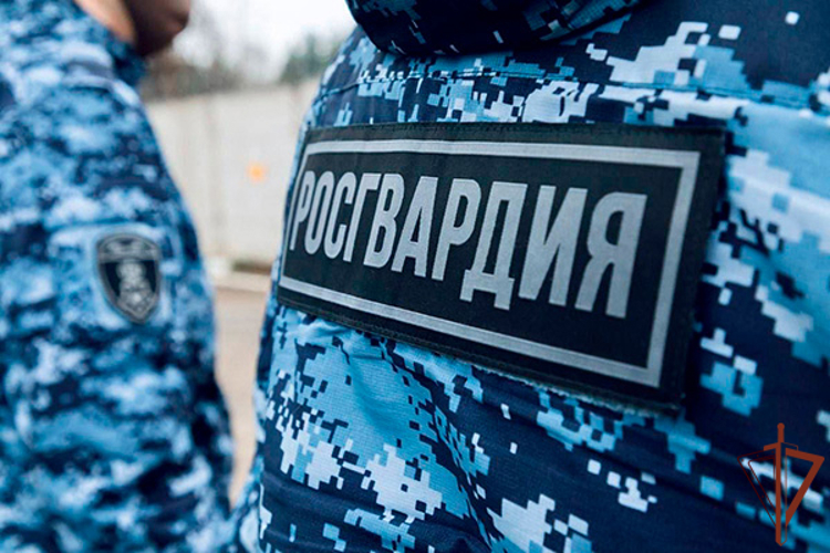 Росгвардейцы пресекли незаконный оборот наркотиков в крупном размере в Подмосковье  