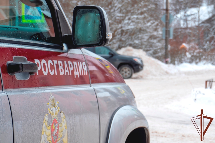 В Северной столице сотрудники Росгвардии организовали эвакуацию жильцов из дома, в котором произошел пожар (видео)