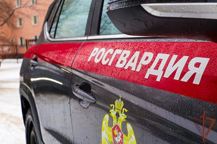Росгвардейцы оказали помощь в тушении автомобиля в Ижевске (видео)