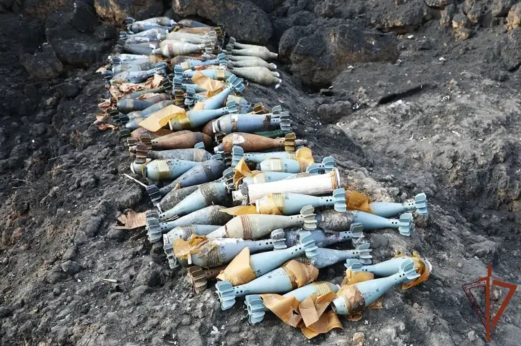 Росгвардейцы уничтожили боеприпасы, изъятые из схронов ВСУ (видео)