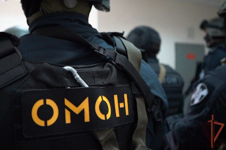 Подозреваемые в коррупции и мошенничестве задержаны при содействии спецназа Росгвардии в Подмосковье