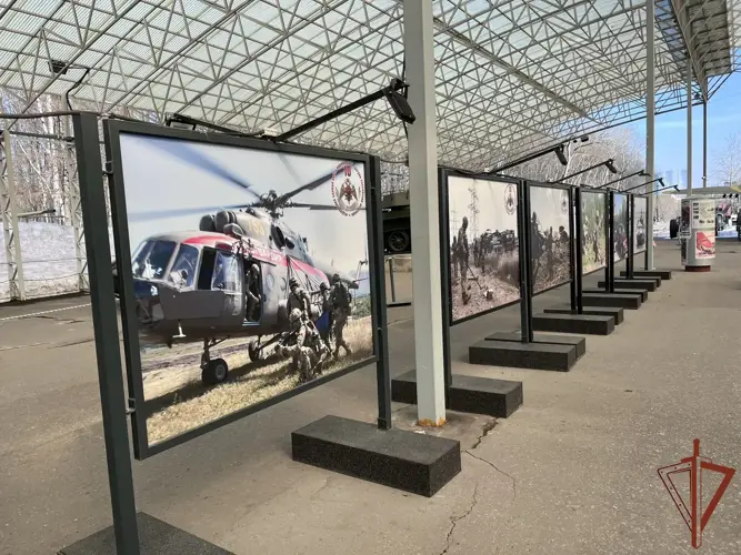 Фотовыставка к 10-летию Росгвардии откроется в Москве (видео)