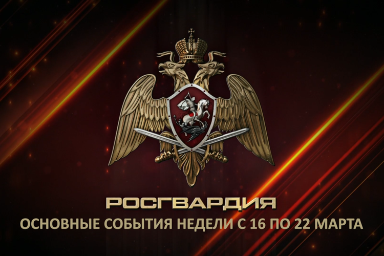 Ключевые события Росгвардии: итоги недели (видео)