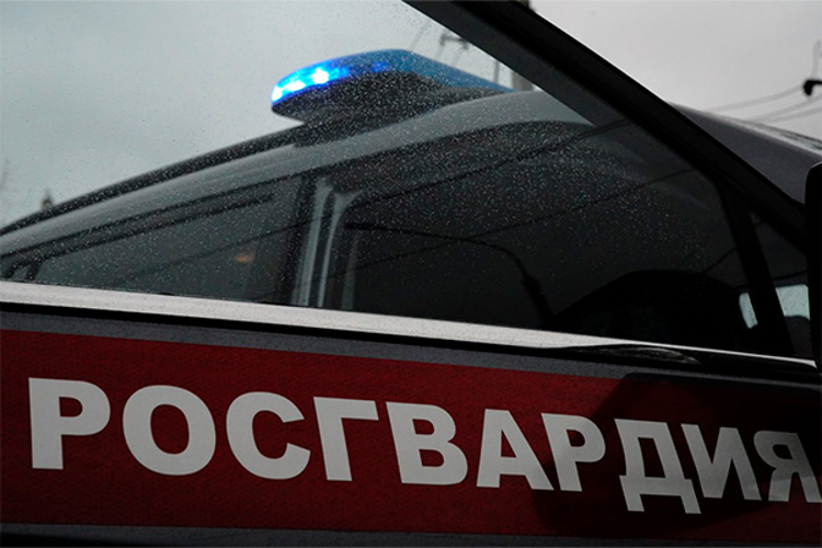 Росгвардейцы оперативно помогают гражданам, попавшим в экстренные  ситуации на улицах Москвы (видео)
