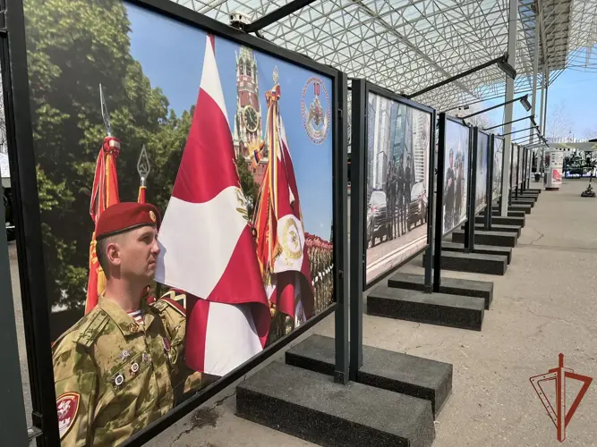 Фотовыставка к 10-летию Росгвардии откроется в Москве (видео)