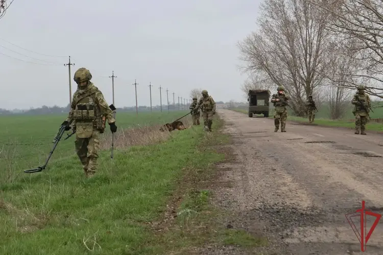 Специалисты инженерных подразделений Росгвардии обезвредили около 4 тысяч взрывоопасных предметов за месяц в зоне СВО (видео)