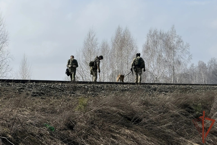 Росгвардия обеспечивает безопасность на месте схода пассажирского поезда «Москва-Челябинск» в Ульяновской области (видео)