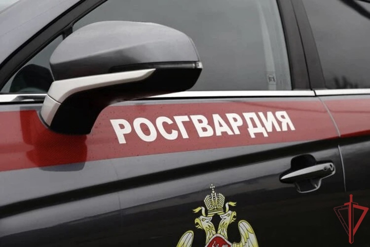 В Москве росгвардейцы задержали молодого человека, подозреваемого в распространении наркотиков (видео)