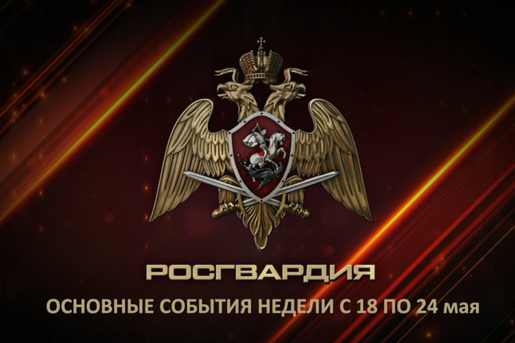 Ключевые события Росгвардии: итоги недели (видео)
