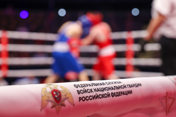 В Росгвардии стартовал чемпионат по боксу, посвящённый 10-летию ведомства (видео)