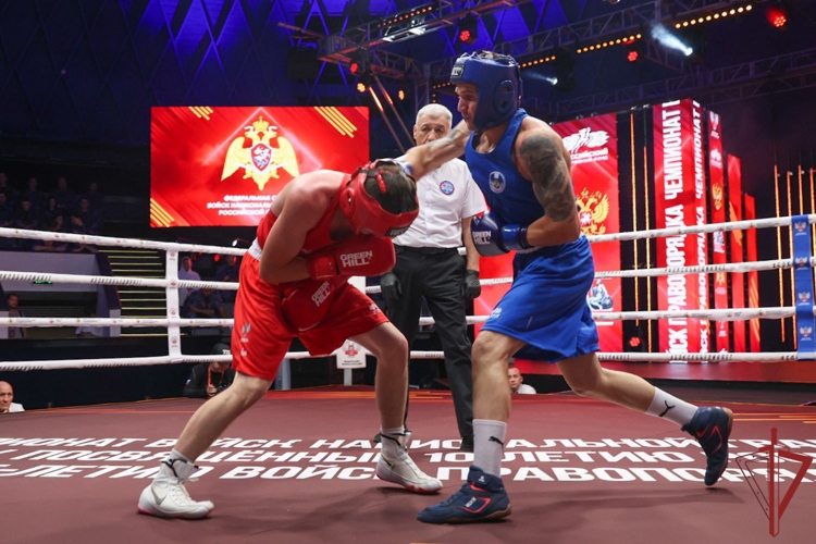 В Росгвардии стартовал чемпионат по боксу, посвящённый 10-летию ведомства (видео)