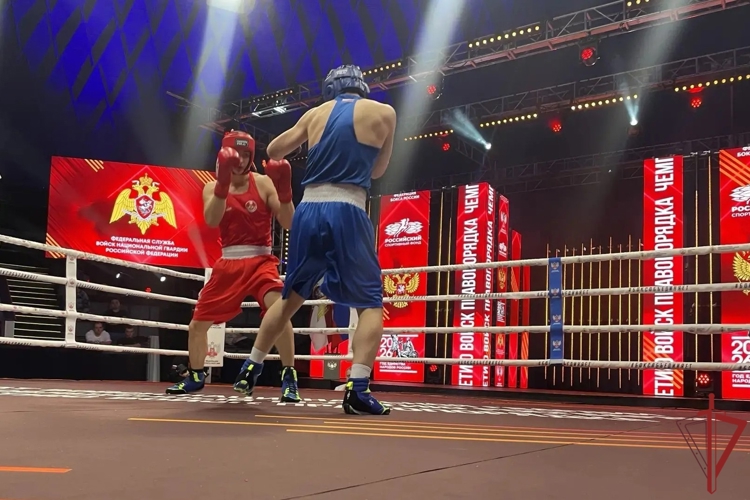 В Росгвардии стартовал чемпионат по боксу, посвящённый 10-летию ведомства (видео)