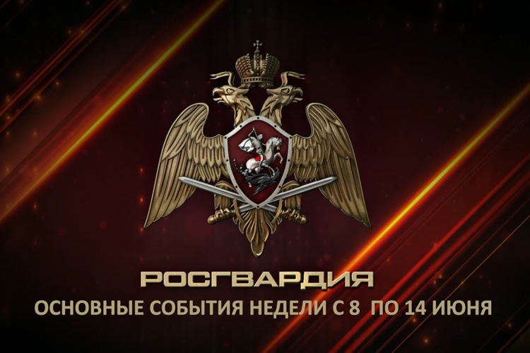 Ключевые события Росгвардии: итоги недели (видео)