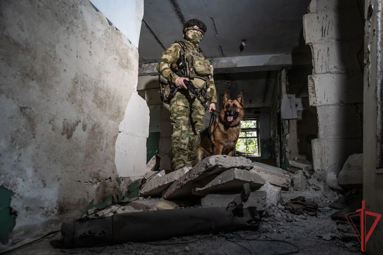 В Донецкой Народной Республике служебная собака Росгвардии помогла задержать подозреваемого в преступлении