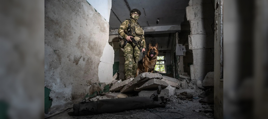 В Донецкой Народной Республике служебная собака Росгвардии помогла задержать подозреваемого в преступлении