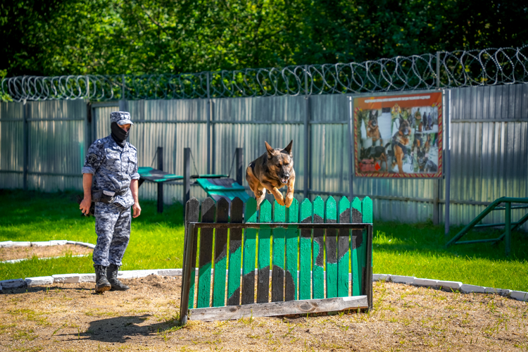 Вдвоем до конца. Фотоальбом